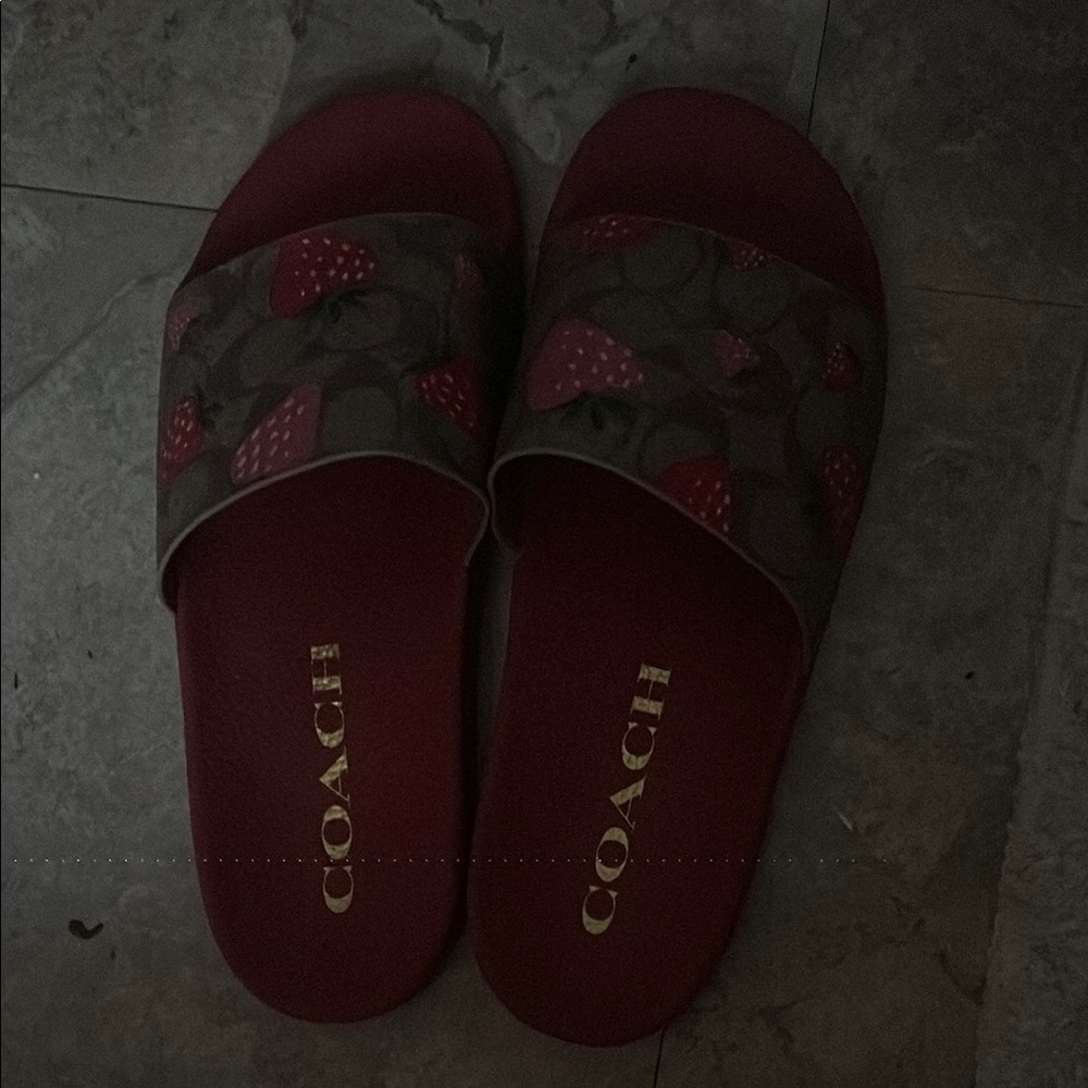 Coach Red Strawberry Slides